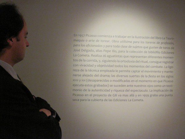 Exposición 'Tauromaquia' con obras de Picasso celebrada en el Museo Art Nouveau y Art Déco Casa Lis (Salamanca) 23