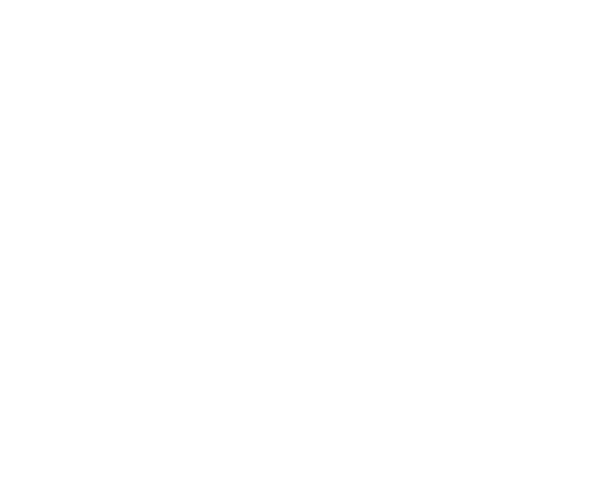 libelula la tienda de lis